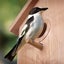 Birdhouse Diy Kit 21.8x14x10 Cm Carousel 3