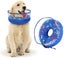 Inflatable Dog Collar Dog Recovery Collar Inflatable Dog Collars For After S Carousel 1