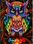 5d Diy Diamond Painting Kits For Adults And Kids Colorful Owl Full Drill Round Carousel 1