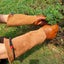 Gardening Gloves 1 Pair Rose Pruning Thorn-proof Gloves Pigskin Sheepskin Gl Carousel 2