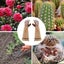 Gardening Gloves 1 Pair Rose Pruning Thorn-proof Gloves Pigskin Sheepskin Gl Carousel 4