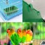 5pack Birds Cage Cup Food Feeder Holder Tray Bird Bathtub Bowl Basin Hanging B Carousel 3
