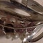 STERLING SILVER & PEARL BROOCH - CLEARANCE SALE Carousel 4