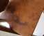 +++ VINTAGE OAK "TINY TOT -JUVENILE CHAIR " +++ Carousel 17