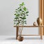 SOGA 4X Plastic Potted Polyscias Scutellaria Plant Home Garden Artificial Tre... Carousel 4