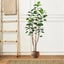 SOGA 4X Plastic Potted Polyscias Scutellaria Plant Home Garden Artificial Tre... Carousel 5