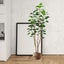 SOGA 4X Plastic Potted Polyscias Scutellaria Plant Home Garden Artificial Tre... Carousel 6