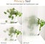 Window Film Clearance Clearance Carousel 11