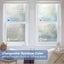 Window Film Clearance Clearance Carousel 16