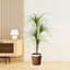 SOGA 150cm Artificial Dracaena Plant Fake Potted, Simulation Tree Fake Plant ... Carousel 7