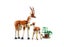 LEGO Creator 31150 Wild Safari Animals + Afterpay Carousel 3