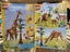 LEGO Creator 31150 Wild Safari Animals + Afterpay Carousel 7