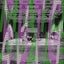 Loading Image 1 of 1