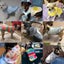 Pet for Small Warm Winter Dog Coat Cotton Fleece Puppy Clothes Clothing Frenc... Carousel 4