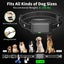 New Dog Training Collars on Afterpay Carousel 3