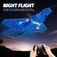 F22 Raptor Rc Plane 2.4g 2ch Glider with Led Lights Carousel 3