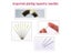 Gold Collection Embroidery Venetian Mask Funny Cross Stitch Patterns With Carousel 4