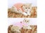 Cat Clothing Carousel 4
