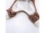 Winter Cat Clothes Warm Fleece Pet Costumes For Small Cats Kitten Jumpsuits Carousel 6