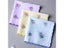 3Pcs 28x28cm Vintage Cotton Women's Embroidered Hanky Carousel 6