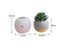 Succulent Flowerpot Gypsum Silicone Mold Desktop Storage Tank Plaster Cement Carousel 1