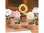 Hand Knitting Potted Plants Rose Sunflower Tulip Crochet Flowers For Car Carousel 5
