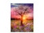 Paint By Numbers Kit Carousel 1