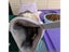 Winter Warm Hamster Tunnel Hammock For Small Animals Sugar Glider Tube Swing Carousel 5