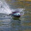 Recoil 2 V2 26-inch Self-Righting, Brushless Deep-V RTR Shreddy by Pro Boat Carousel 11