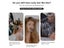 Hair Curler Curling Rod Carousel 6