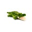 Loading Image 1 of 1
