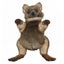 Loading Image 1 of 1