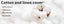 Kid Chair Cushion High Seat Pad Baby Infant Safe Booster Toddler Dinning Cushion Carousel 4