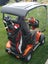 8 YR BATT WRTY/100km Range.NZ made LiFePO4 (Lithium Iron Phosphate) Cobalt Free. Carousel 8