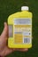 Yates Zero Weedkiller Concentrate. Rapid 1 hour Action. 500mL. Glyphosate + Acid Carousel 4