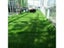 Artificial Turf Fake Grass Carousel 3