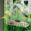 Window Bird Feeder Roof Shape Transparent Acrylic Hanging Suction Bird Cage, De Carousel 4