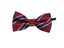 Kids Bow Tie Cartoon Stripe Dot Necktie Small Size Ties For Children Party Carousel 5