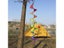Windmill Pinwheels Carousel 4