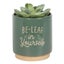 Green Be-Leaf in Yourself Plant Pot Carousel 2