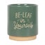 Green Be-Leaf in Yourself Plant Pot Carousel 3