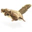 Loading Image 1 of 3