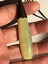 Marsden Tangiwai Greenstone Necklace NO 24050304 Carousel 9