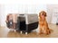 PP 50 Airline Approved Pet Carrier X-Large 81*57*59CM with Wheels & Bowl Carousel 5