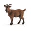 Loading Image 1 of 1