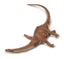 Loading Image 1 of 1