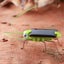 Educational Powered Grasshopperr Robot Toy Powered Toy Gadget Gift Carousel 4