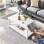 Coffee Table Carousel 10