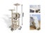 Cat Tree House With Hammock & Toy Carousel 7