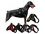 Dog Harness Carousel 2